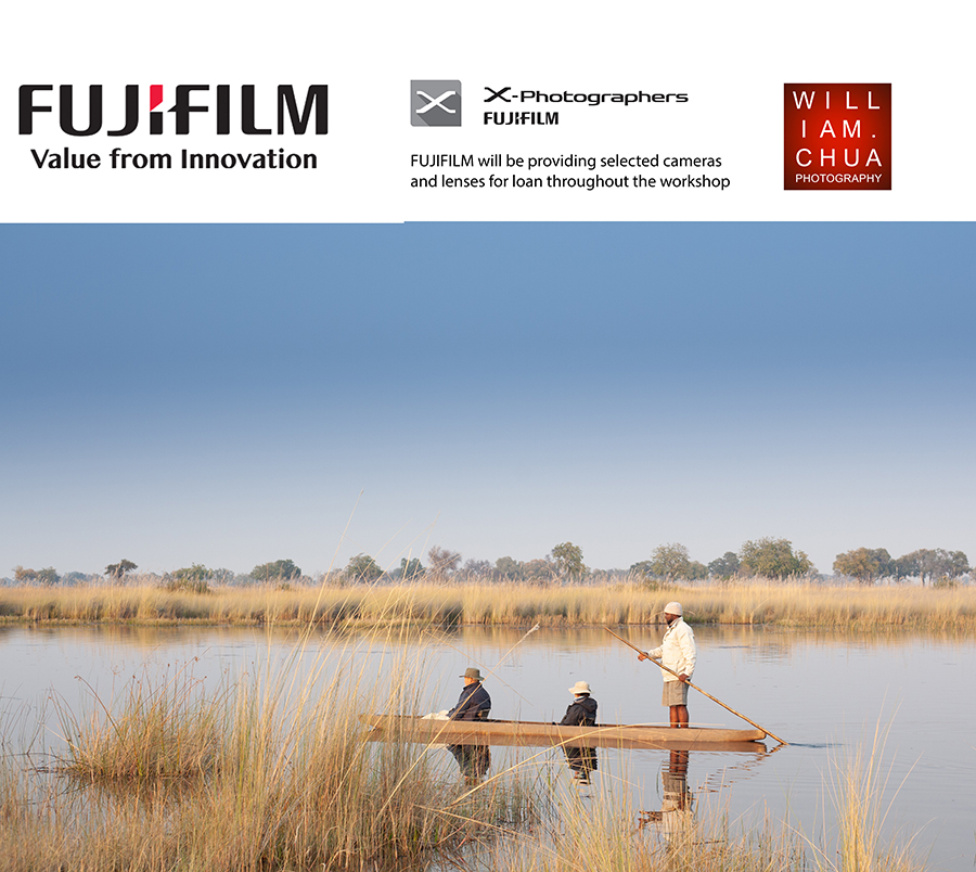 Botswana Photography Workshop 01-07 Feb 2020 » William Chua Photography